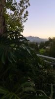 Ausblick von der Terrasse unseres Hotels