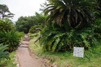 Besuch des Nationalen Botanischen Gartens in Kirstenbosch 