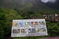 Besuch des Nationalen Botanischen Gartens in Kirstenbosch 