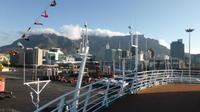Blick von der MS Albatros auf den Tafelberg