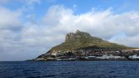 Bootsfaht Hout Bay