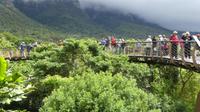Botanischer Garten Kirstenbosch 