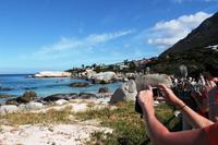 Boulder`s Beach