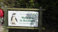 Boulders Beach in Simons Town