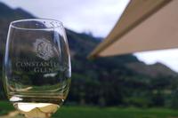 Boutique Weingut Constantia Glen - Weintasting