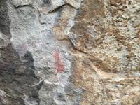 Bushman Paintings
