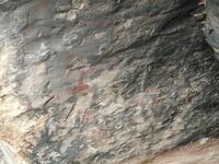 Bushman Paintings