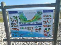 Cape Agulhas