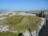 Cape Agulhas
