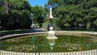 Company's Garden