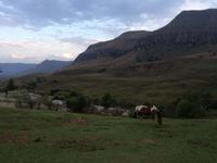 Drakensberge