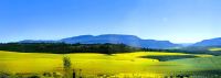 Gardenroute
