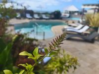 Hotel Pool in Hermanus Südafrika Garden Route @ Anette Rietz EHT