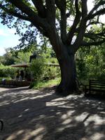 IMG_20181229_163018