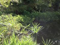 IMG_20181229_163516