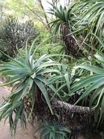 IMG_20181229_165312