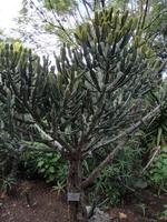 IMG_20181229_165320