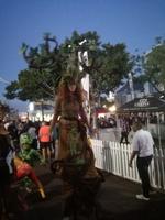 IMG_20181231_202406