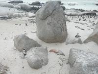 IMG_20190101_172950