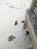 IMG_20190101_173301