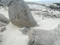 IMG_20190101_173946