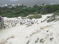 IMG_20190101_174003