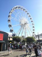 IMG_20190102_170931