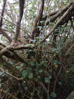 IMG_20190103_163934