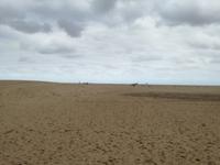 IMG_20190103_164942