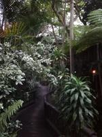IMG_20190103_183310
