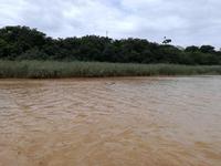 IMG_20190104_111029