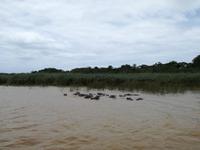 IMG_20190104_120046