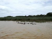 IMG_20190104_120048