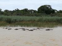 IMG_20190104_120114