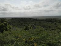 IMG_20190104_153335