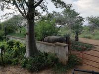 IMG_20190105_162942
