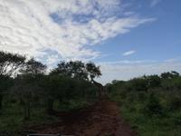IMG_20190106_065056
