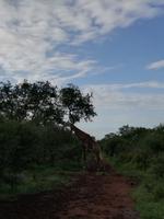 IMG_20190106_065107