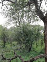 IMG_20190106_065438