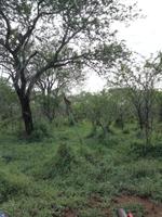 IMG_20190106_065457