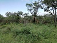 IMG_20190106_065735