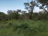 IMG_20190106_065740