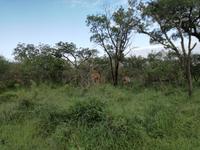 IMG_20190106_065747