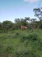 IMG_20190106_065810