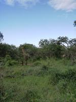 IMG_20190106_065820