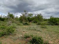 IMG_20190107_165329