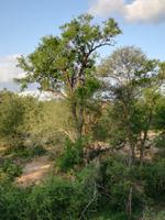 IMG_20190107_180548