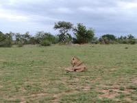 IMG_20190107_184305