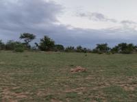 IMG_20190107_184816