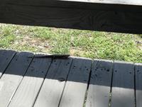 IMG_20190108_133607